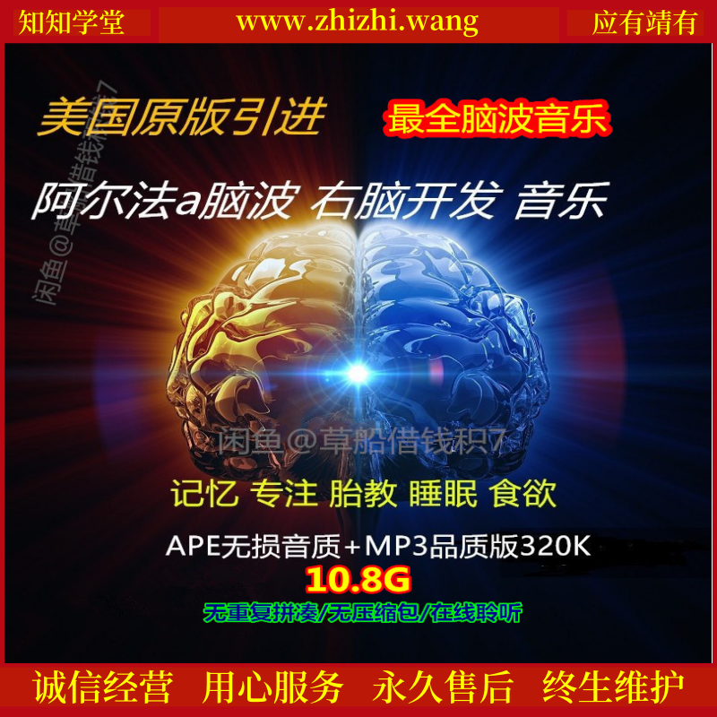 阿尔法α脑波音乐开发右脑提高情商智商记忆力专注力10.8G
