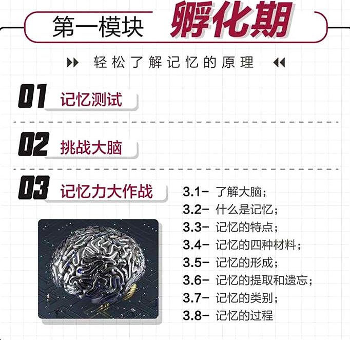 图片[2]-超全卢菲菲思维导图快速阅读记忆宫殿记忆力法训练视频教程