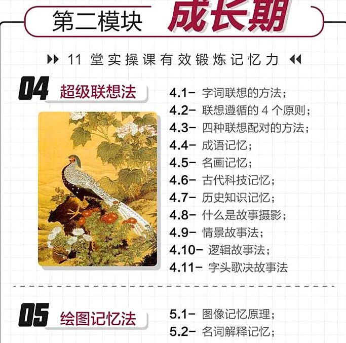 图片[3]-超全卢菲菲思维导图快速阅读记忆宫殿记忆力法训练视频教程